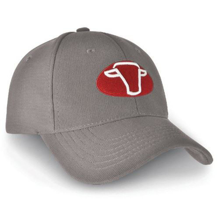 Picture of Denver Cap