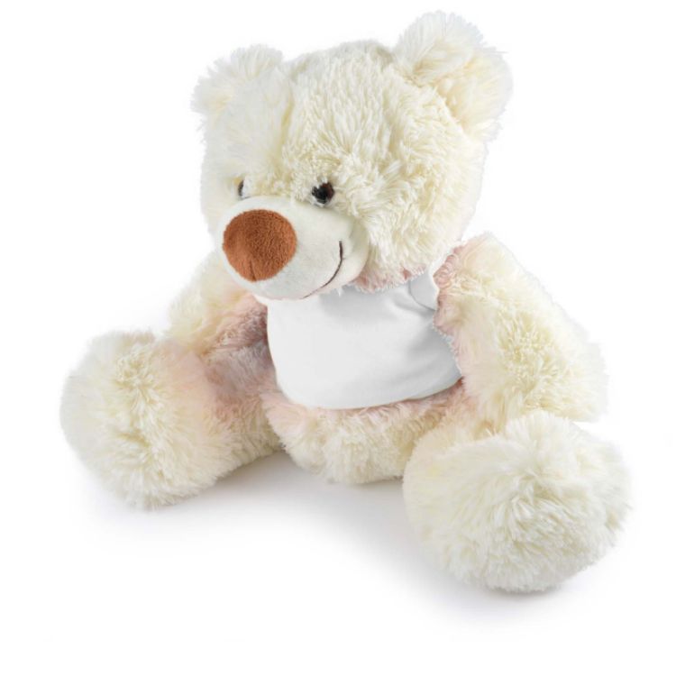 Picture of Coconut Plush Teddy Bear