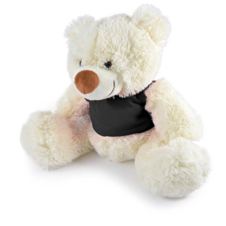 Picture of Coconut Plush Teddy Bear