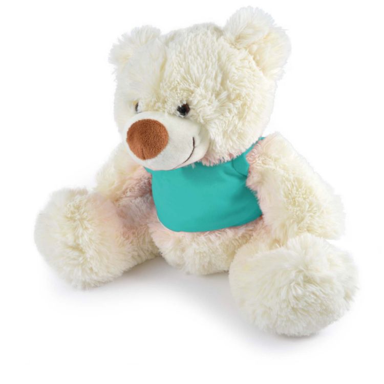 Picture of Coconut Plush Teddy Bear