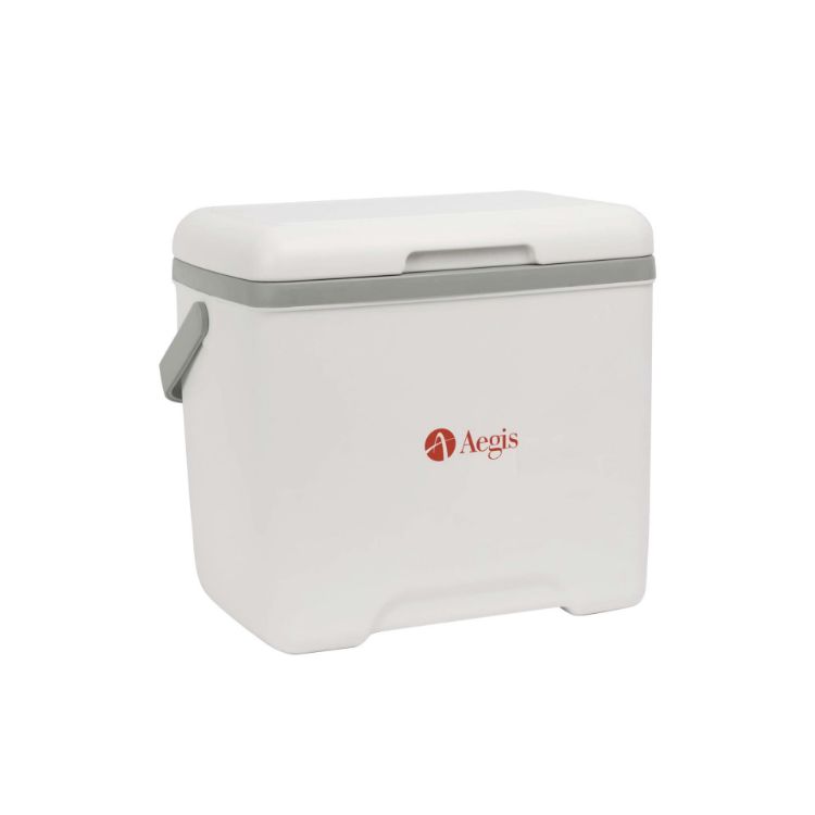 Picture of 13L Cooler Box