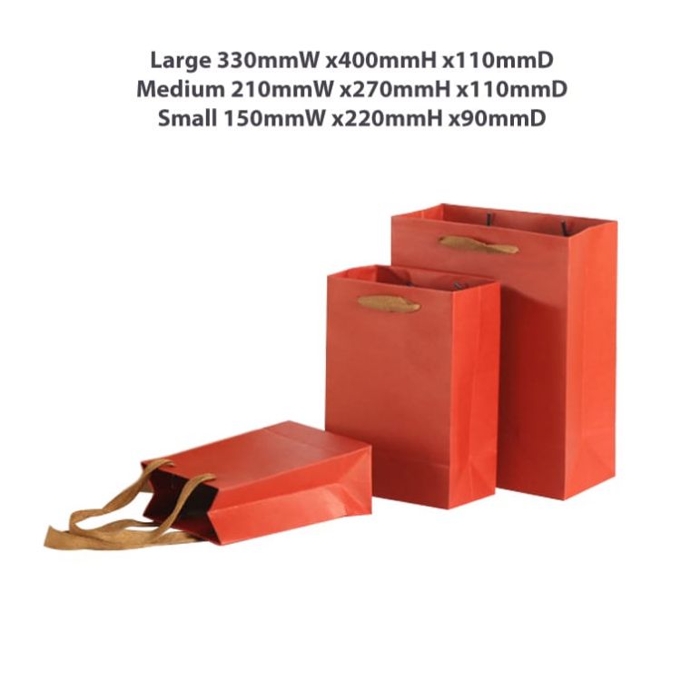 Picture of Large Vertical Paper Bag with Fabric Flat Handle(300 x 400 x 110mm)