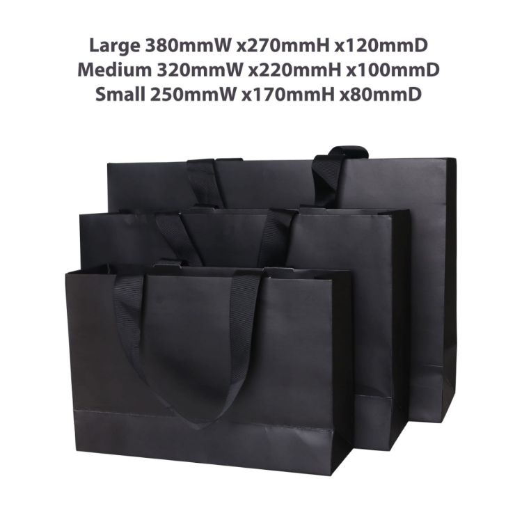 Picture of Large Paper Bag with Flat Handle(380 x 270 x 120mm)