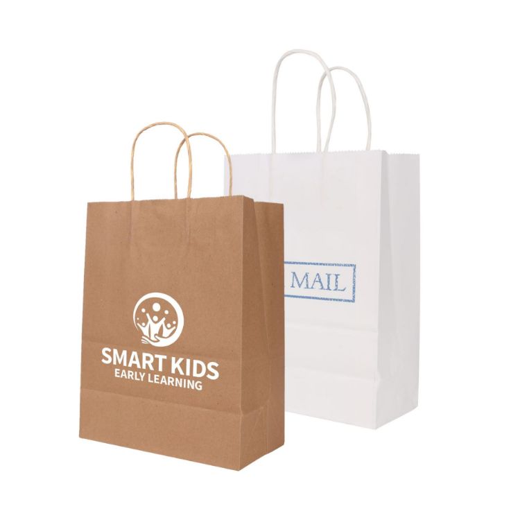 Picture of Twisted Handle Kraft Paper Bag(260x330x120mm)