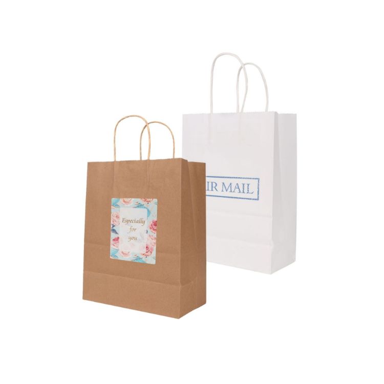Picture of Twisted Handle Kraft Paper Bag(220x270x110mm)