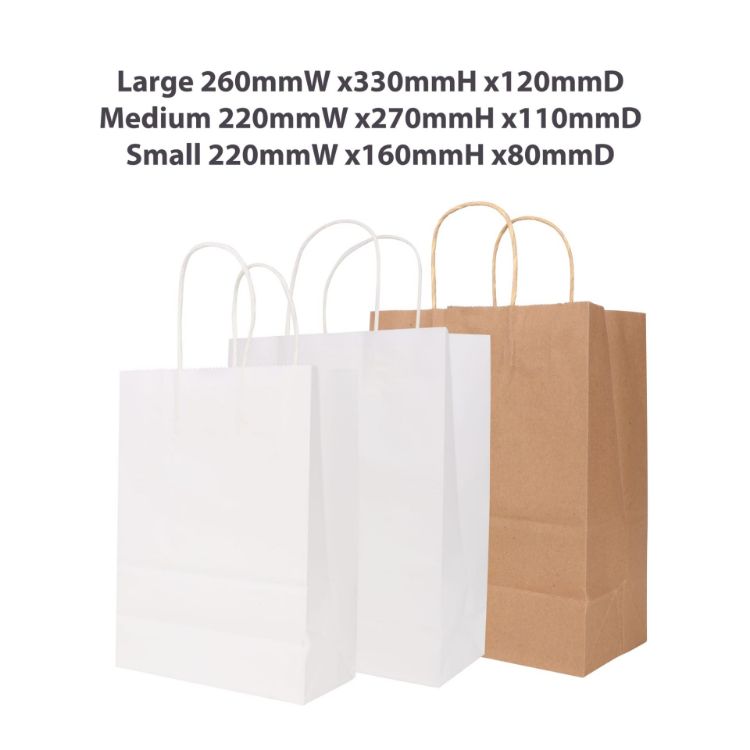 Picture of Twisted Handle Kraft Paper Bag(220x270x110mm)