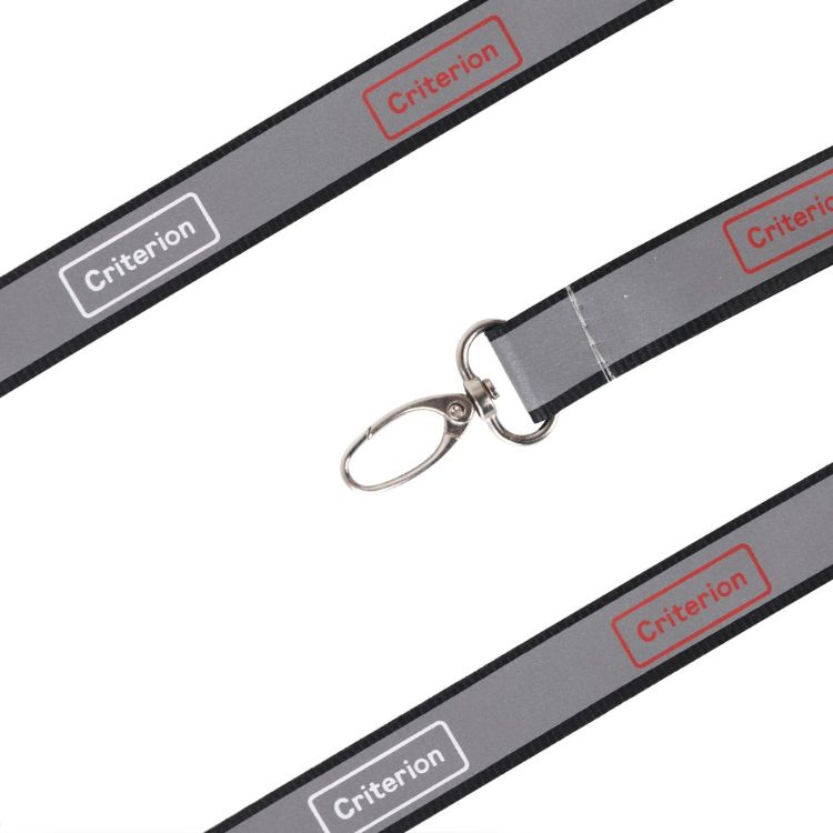 Picture of Safety Lanyard