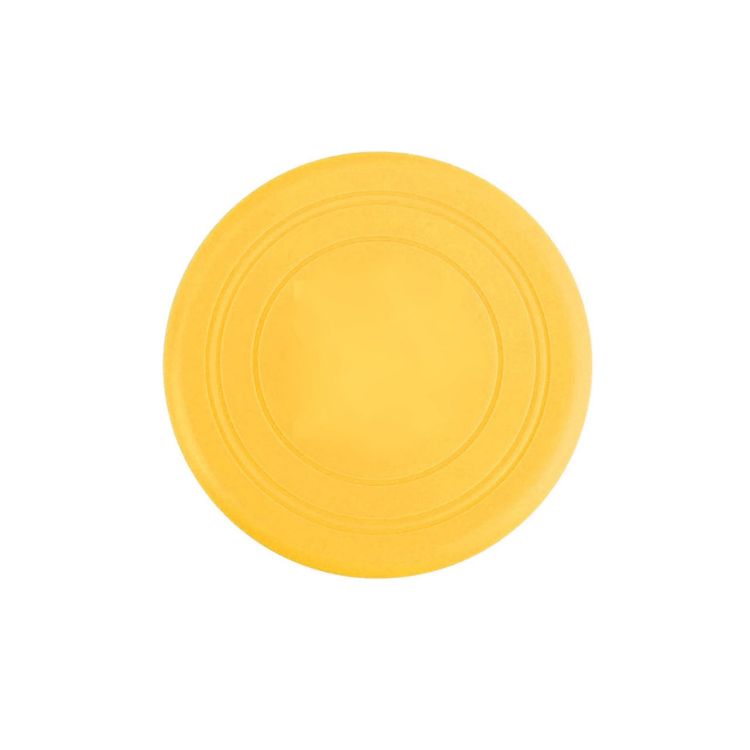 Picture of Silicone Frisbee