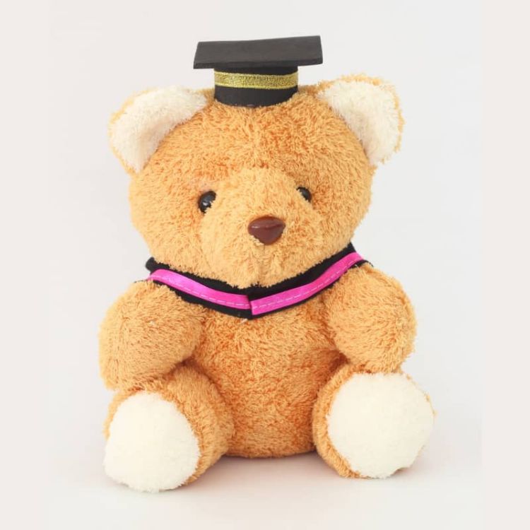 Picture of Custom Graduation Plush Toy