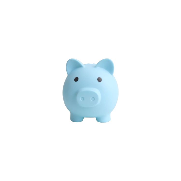 Picture of PVC Piggy Coin Bank