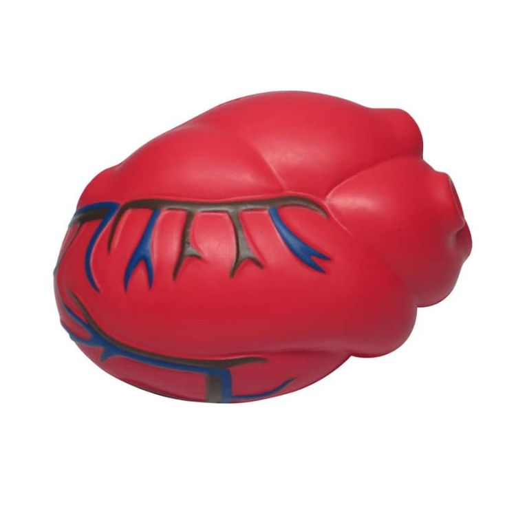 Picture of Cardiac Shape Stress Reliever