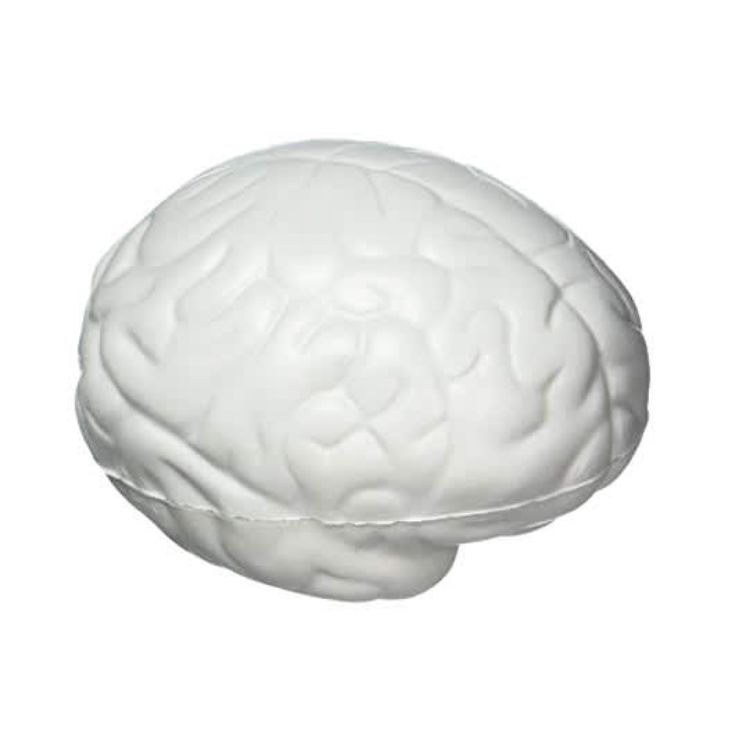 Picture of Large Brain Shape Stress Reliever