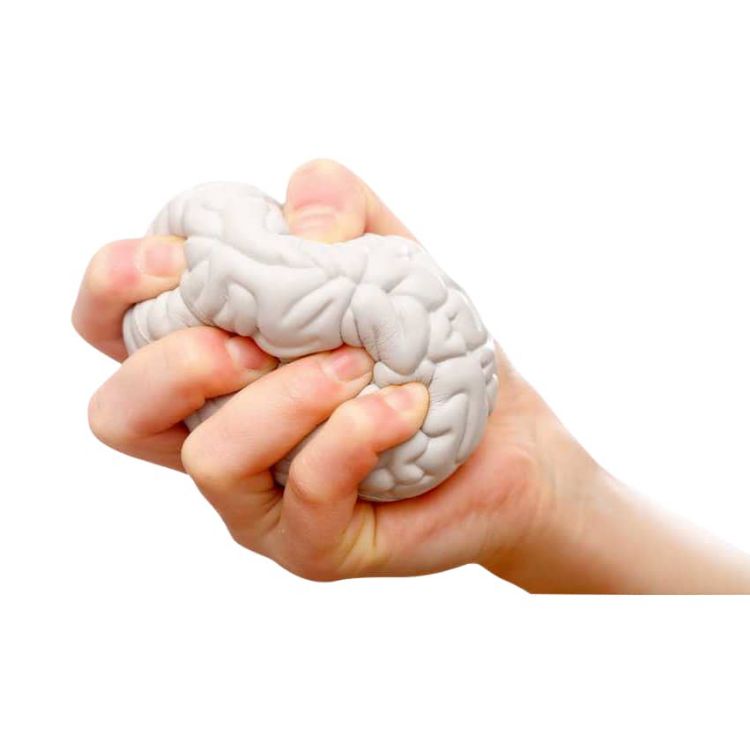 Picture of Large Brain Shape Stress Reliever