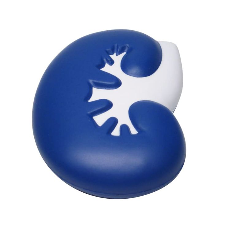 Picture of Large Kidney Shape Stress Reliever