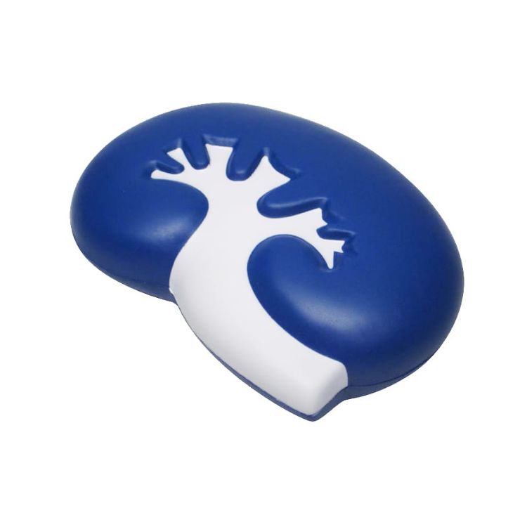 Picture of Large Kidney Shape Stress Reliever