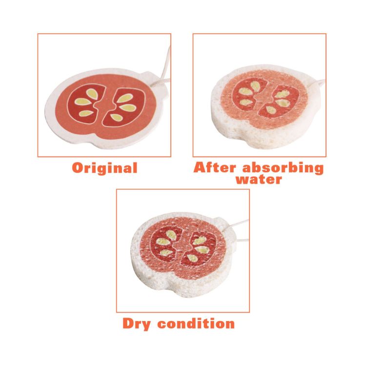 Picture of Expandable Dishwashing Sponge