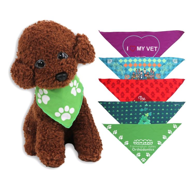 Picture of Triangle Pet Bandana