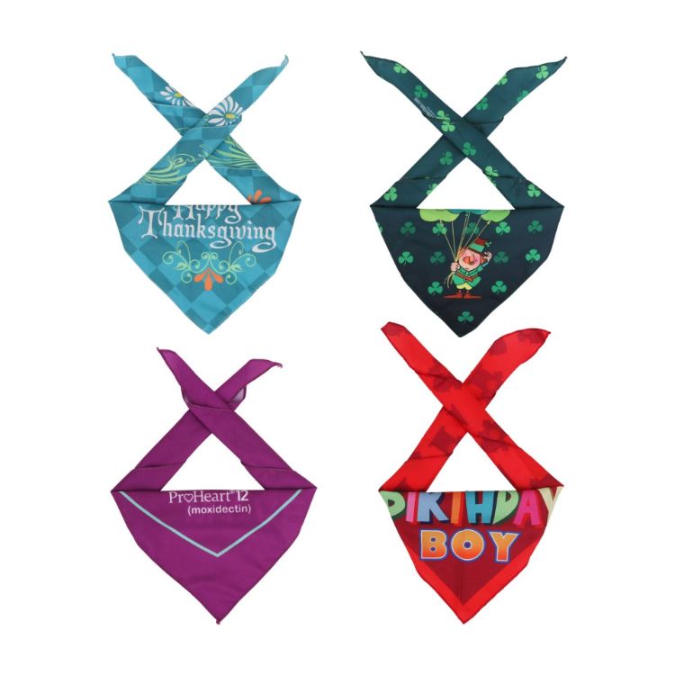 Picture of Triangle Pet Bandana