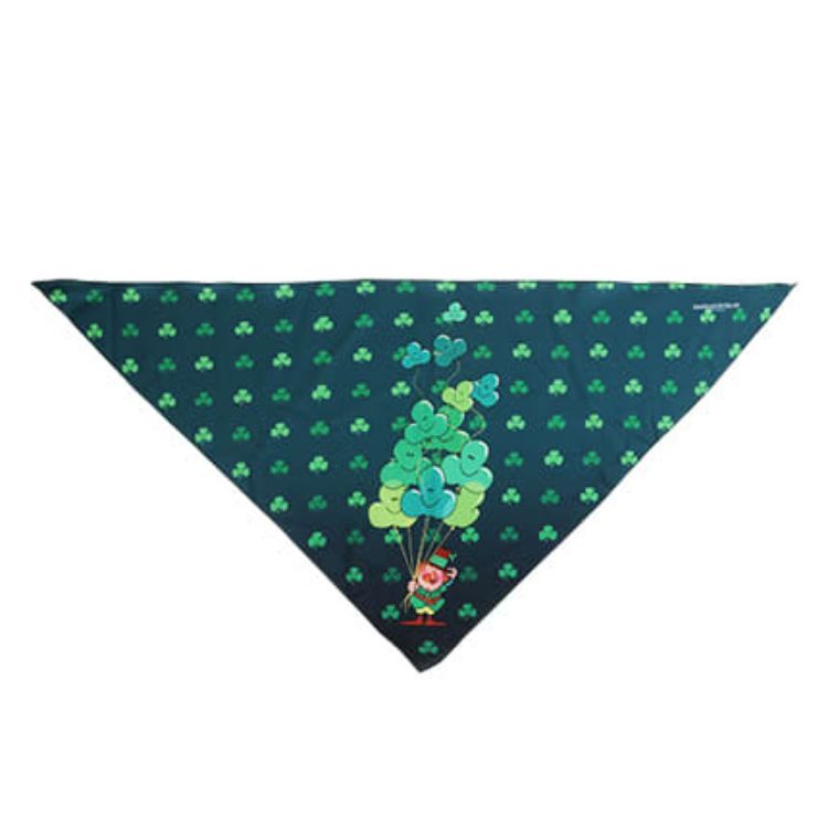 Picture of Triangle Pet Bandana