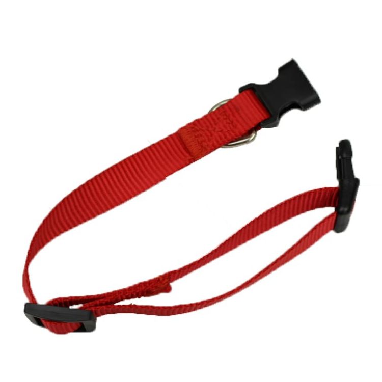 Picture of Dog Collar