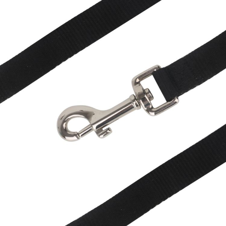 Picture of Polyester Dog Leash