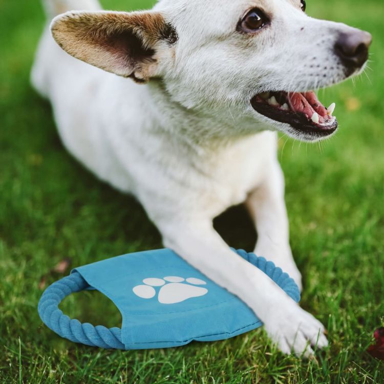 Picture of Rope Frisbee Dog Toy