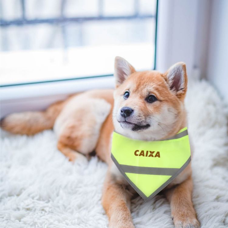 Picture of Reflective Dog Bandana