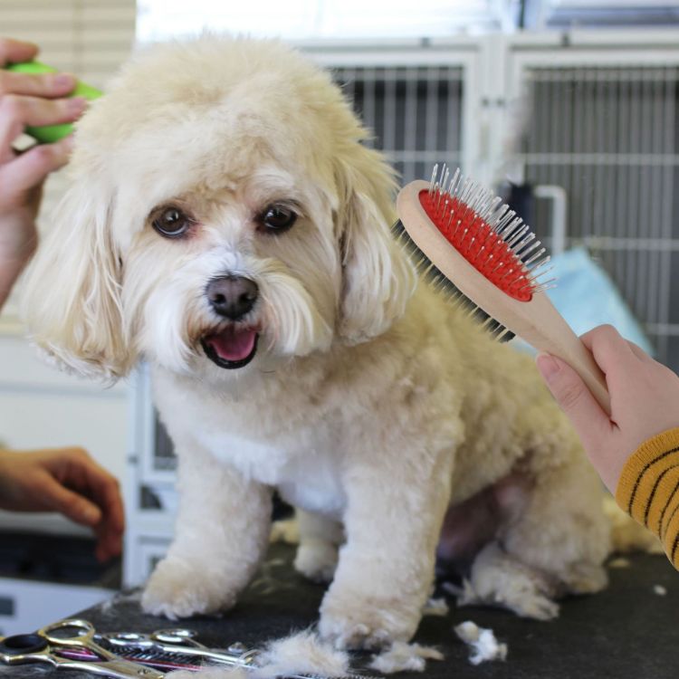 Picture of Pin and Bristle Pet Brush