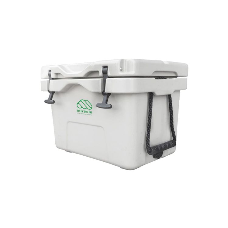 Picture of 25L Cooler Box