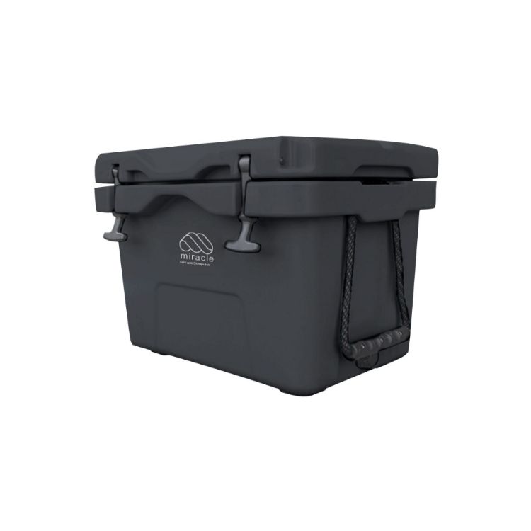 Picture of 25L Cooler Box