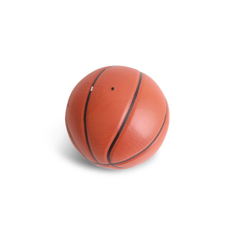 Picture of PU Basketball