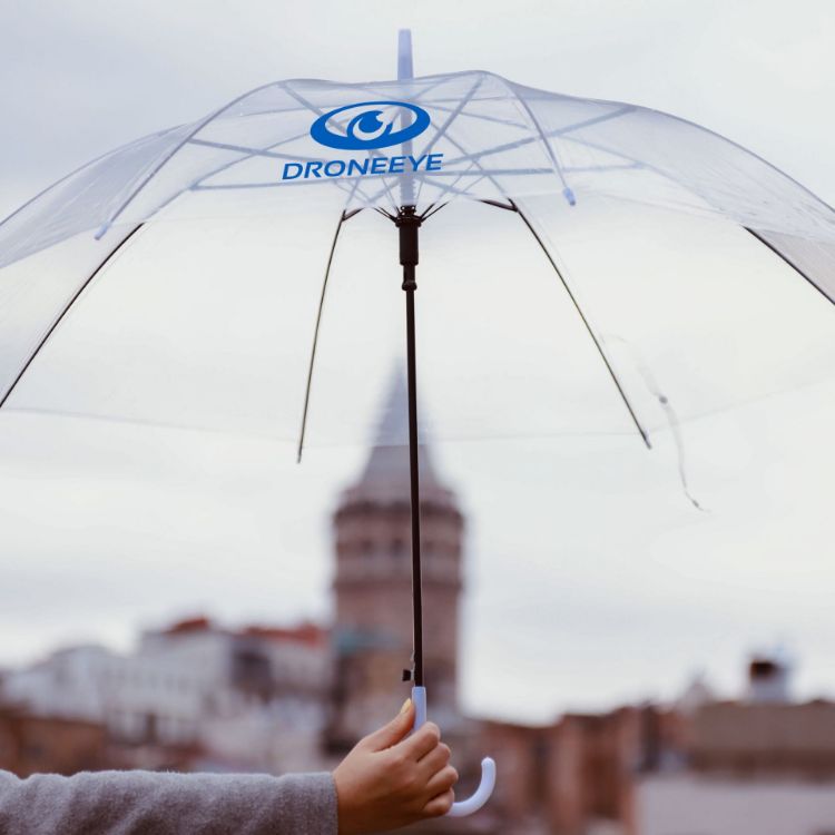 Picture of Transparent Eight-Panel Umbrella