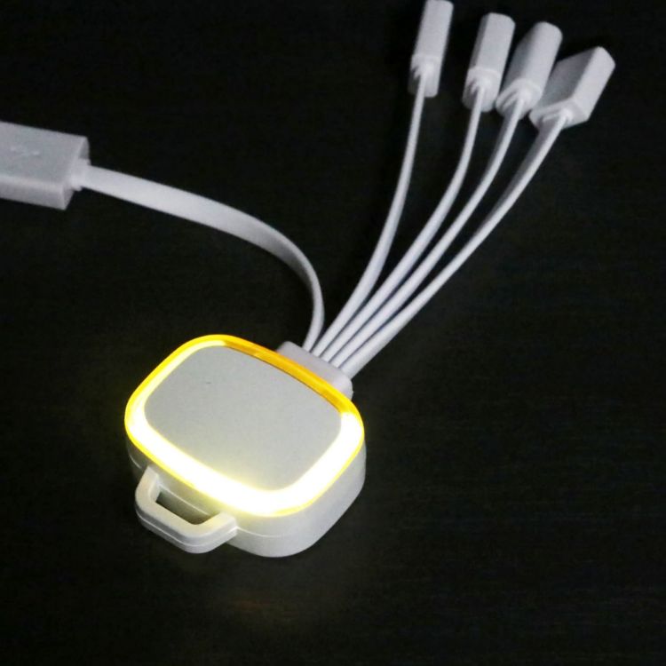 Picture of LED Charging Cable with Multiple Connectors