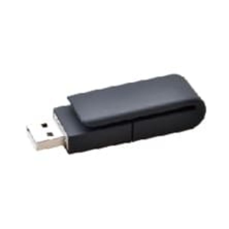 Picture of Clip Flash Drive