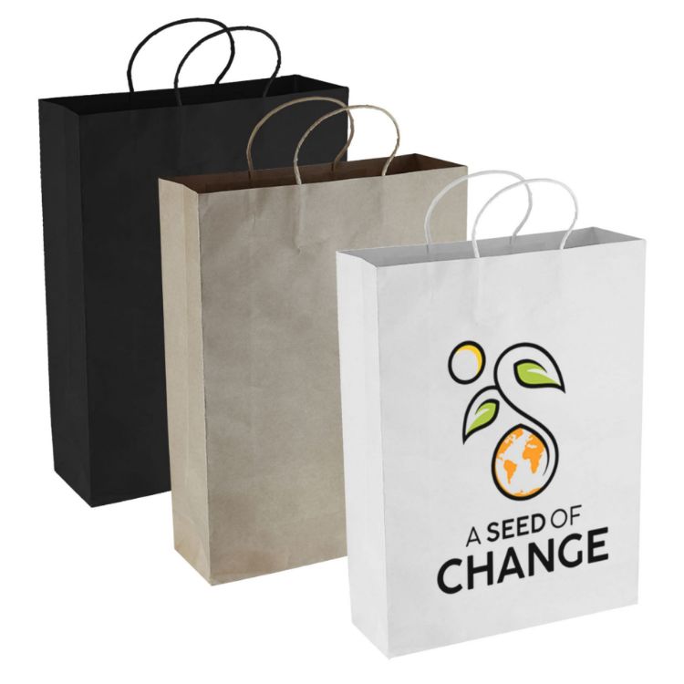 Picture of Paper Kraft Shopping Bag