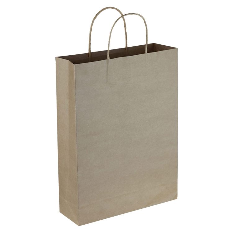 Picture of Paper Trade Show Bag