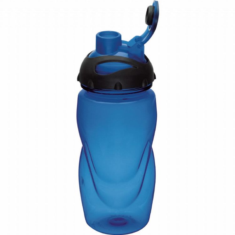 Picture of Gobi 500ml Sports Bottle