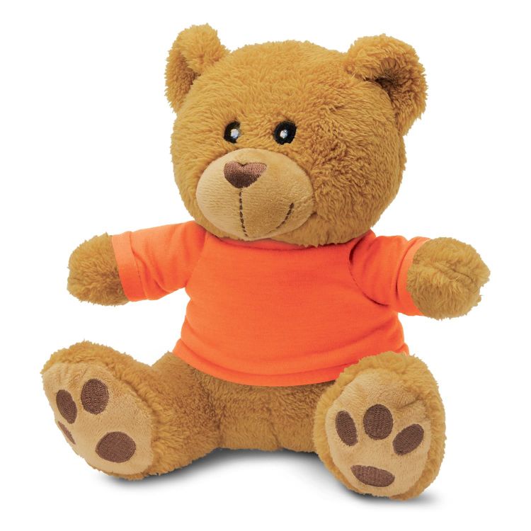 Picture of Teddy Bear Plush Toy