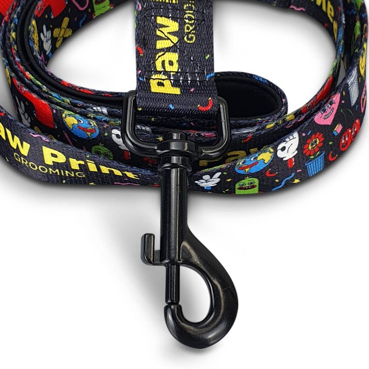 Picture of Amigo Dog Leash