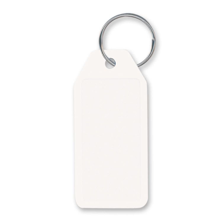 Picture of Budget Key Ring