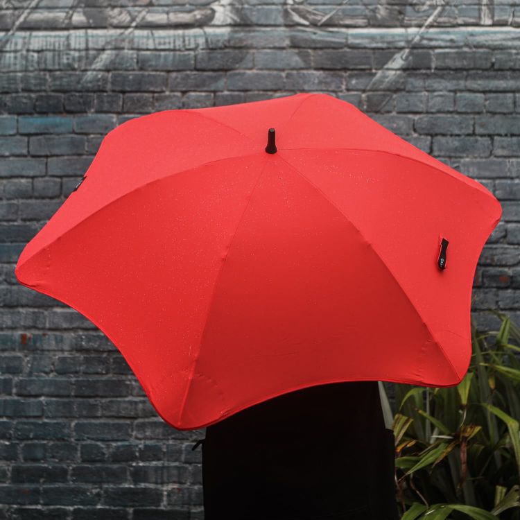 Picture of BLUNT Classic Umbrella