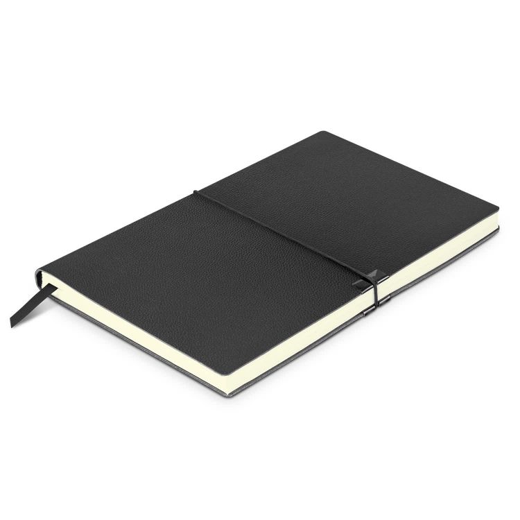 Picture of Samson Notebook