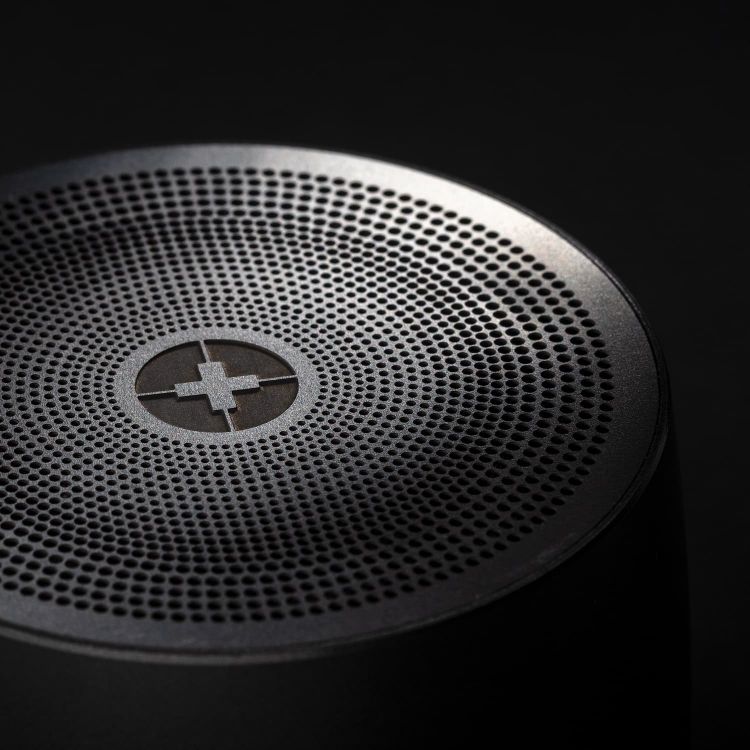 Picture of Swiss Peak Bass Speaker